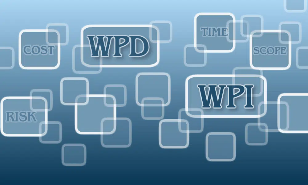 Work Performance Data WPD and Work Performance Information WPI