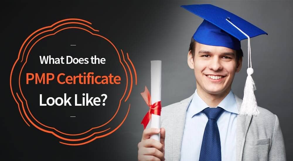 what does pmp certificate look like