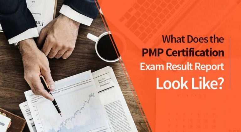 what does pmp exam result report look like