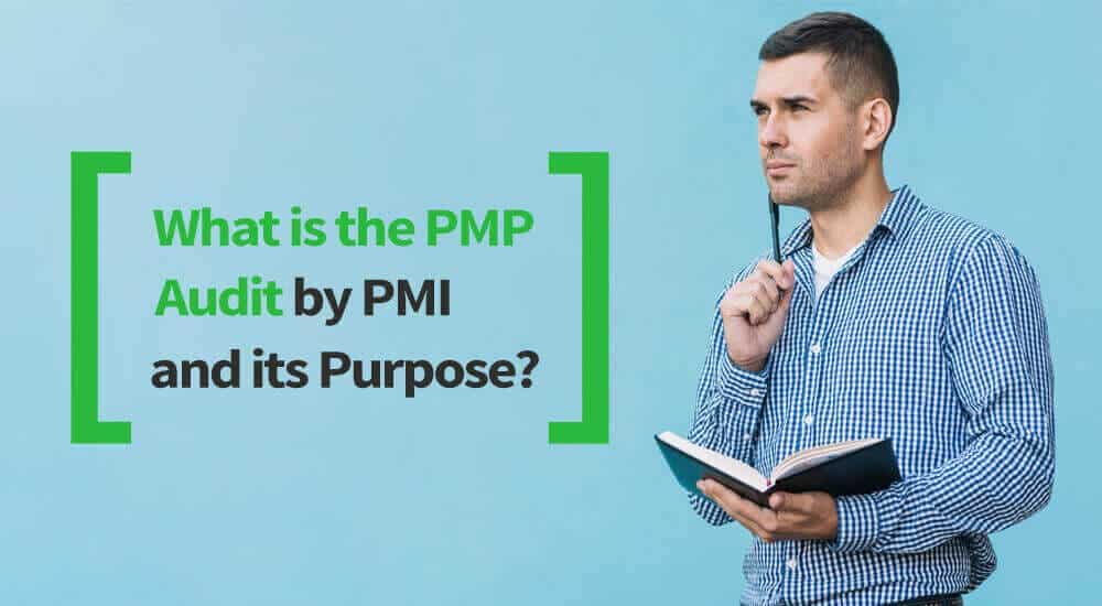 what is the PMP audit