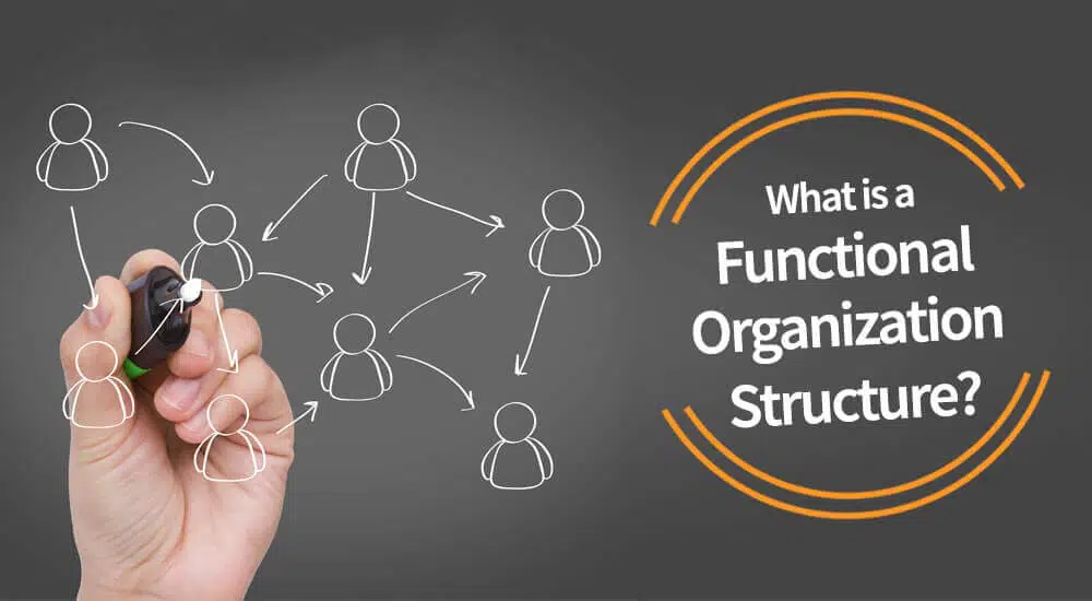 functional organization structure