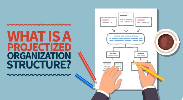 What is a Projectized Organization Structure?