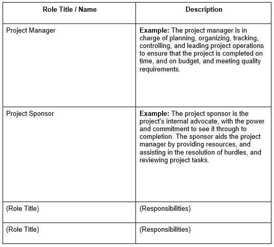 roles and responsibilites template example 1