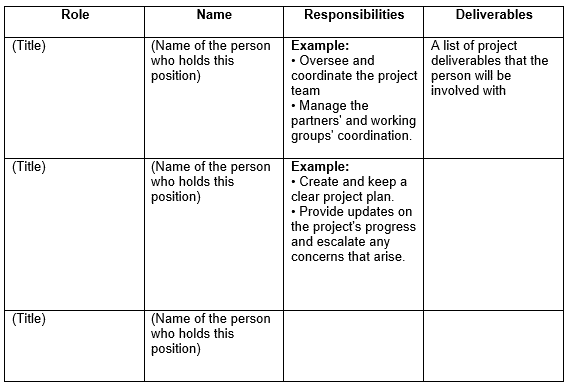 roles and responsibilites template example 2