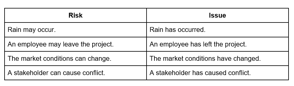 risk and issue comparision table