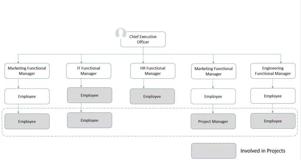 Balanced Matrix Organization chart