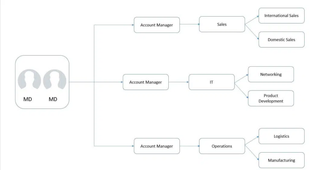 Hybrid Organizational Structure chart