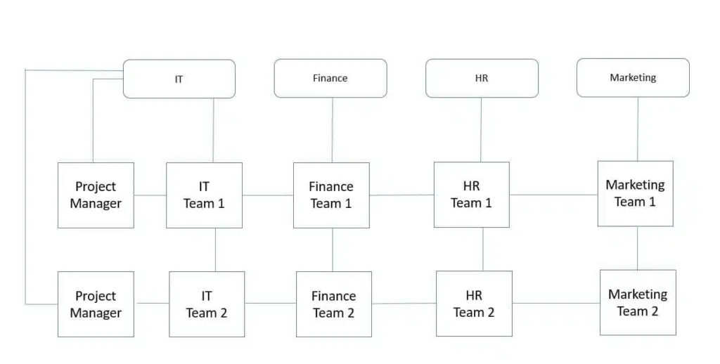 Matrix Organization Chart
