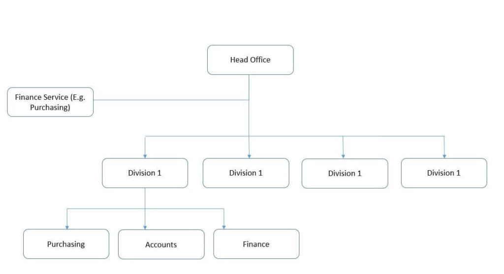 Multidivisional Organizational Chart