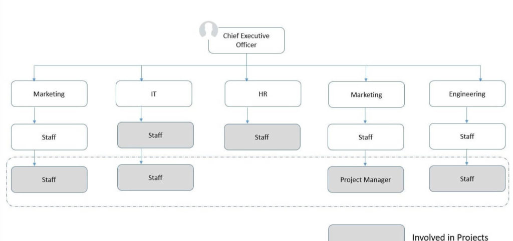 matrix organisation example