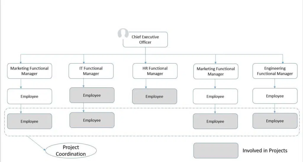 Weak Matrix Organization chart