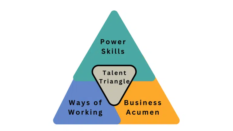 What is the PMI Talent Triangle?