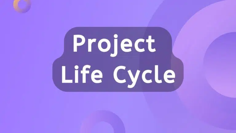Project Life Cycle: Definition, Stages, Types & Example