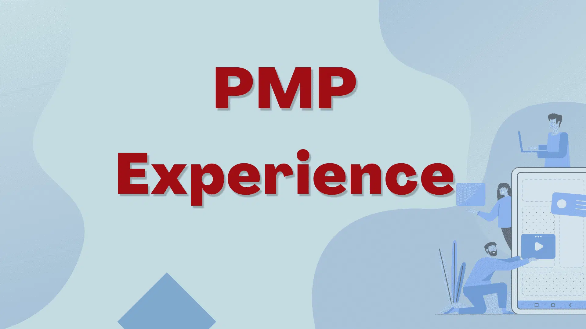 pmp experience examples