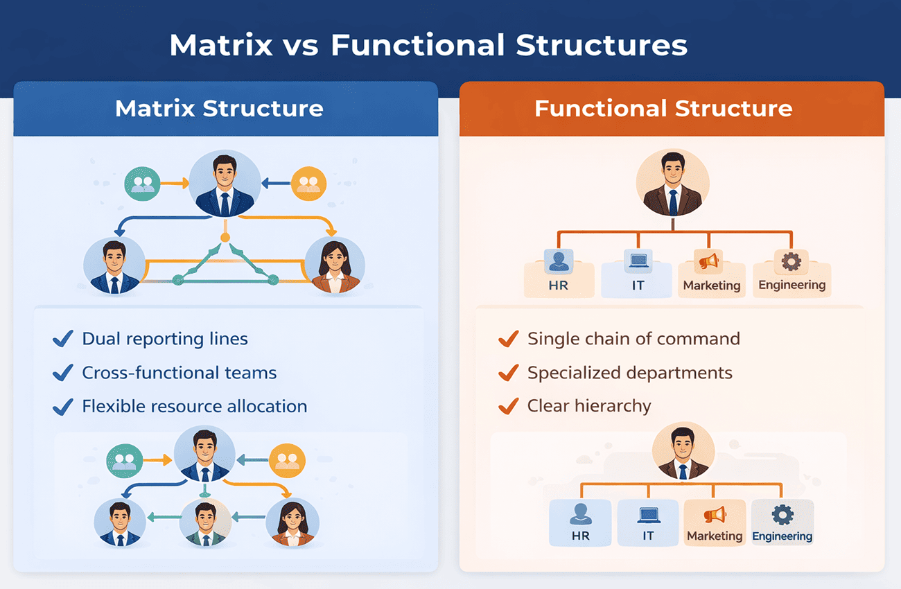 infographic showing difference between matrix and functional organization
